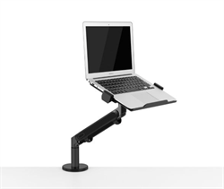 WERGON - Felix - Bordshållare med gasfjäder för skärm upp till 32"/ Laptop för 11-17" - Mörkgrå