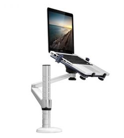 Wergon - Vitus - Justerbar stationär hållare för surfplatta / bärbar dator 9-15,6 "- Silver